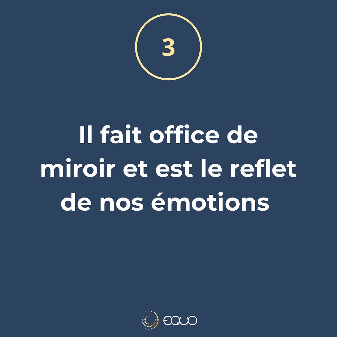 equo_coaching's tweet photo. #equo #equicoaching #formation #rh #management #coaching #intelligenceemotionnelle #qualiopi #entreprise #leadership #goals #teambuilding #seminaire #experienceclient  #polehippolia #innovation https://t.co/6BIxY2tLcN