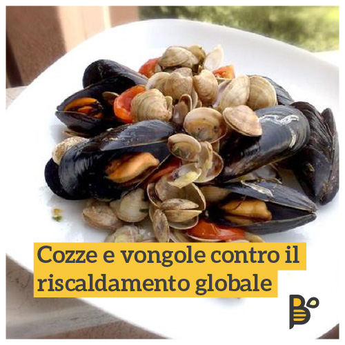 I #molluschi sono i principi dei piatti di mare estivi. Deliziosi e proteici, i loro gusci potrebbero aiutare anche nella lotta al #riscaldamentoglobale.
🐝 Scopri come nell'ultimo articolo sul nostro Blog! 👇🏼
blog.planbee.bz/i-gusci-di-coz…