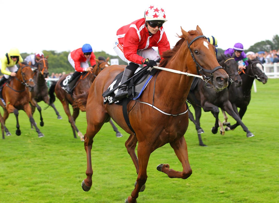 racingblogger's tweet photo. 🇫🇷 If SAFFRON BEACH wins the Prix Rothschild at Deauville today I'll give £50 CASH to one of you lucky people! 💷 

To Enter: 👇

1️⃣ RT this Tweet 
2️⃣ Follow @racingblogger

📸 https://t.co/DdbyO7fhlu 

#Deauville #Horseracing #Winners ✨ https://t.co/VcM3LrDeO2
