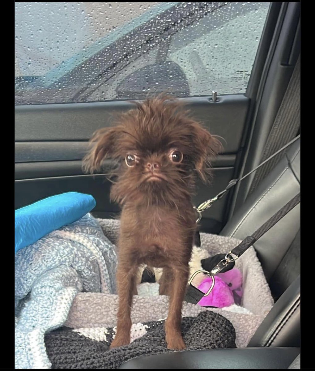 CakeFaceBellaa tweet media