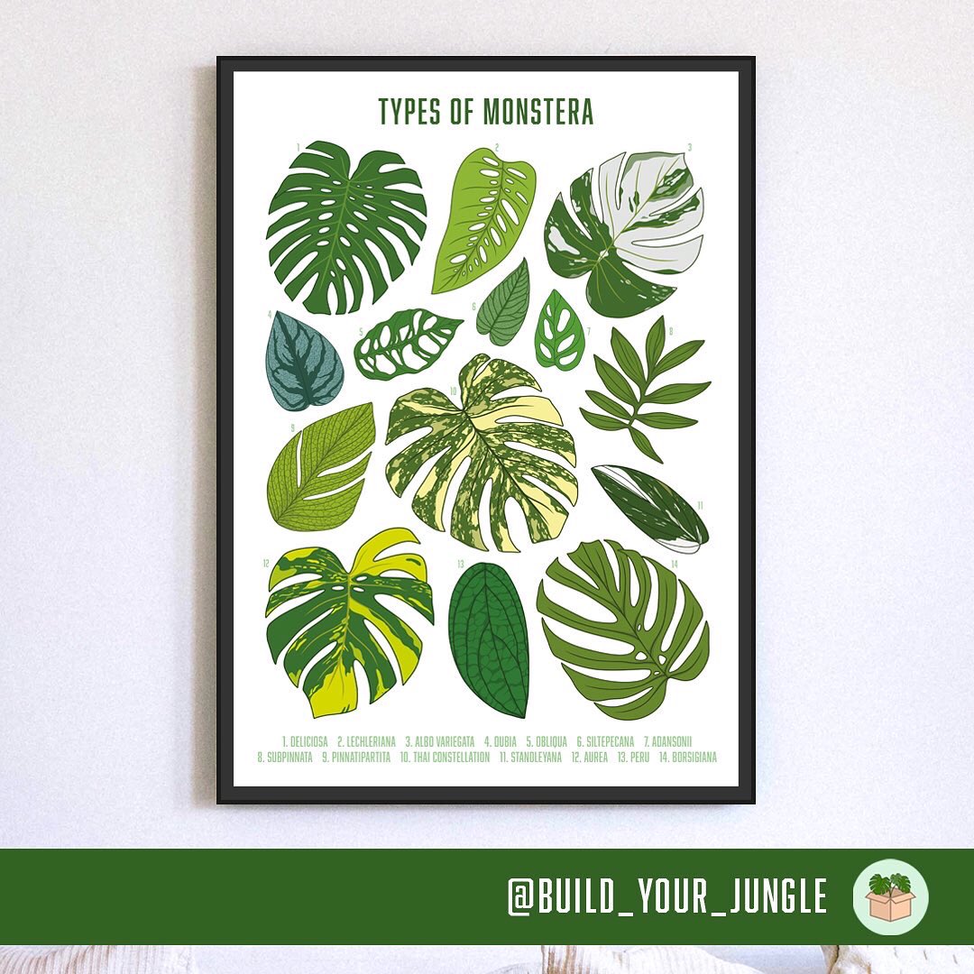 Clay House Press (@clayhousepress) on Twitter photo Calling all #houseplant enthusiastsā¦<a href="/BuildYourJungle/">Build Your Jungle UK</a> is a non-binary run business and theyāve just launched their online web shop with some stunning art prints over at buildyourjungle.com #giftsuk #houseplantart #supportsmallbusiness #ukbusiness Calling all #houseplant enthusiastsā¦<a href="/BuildYourJungle/">Build Your Jungle UK</a> is a non-binary run business and theyāve just launched their online web shop with some stunning art prints over at buildyourjungle.com #giftsuk #houseplantart #supportsmallbusiness #ukbusiness