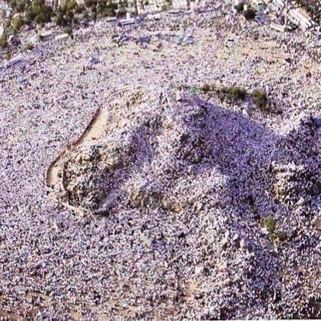 AhmadiConfused's tweet photo. Muslim Hajj 1450yrs (Makkah &amp; Arafat) Verses Qadiani Hajj aka #ChandaFest https://t.co/XmgZqyhUSG