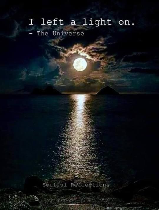 Narty007's tweet photo. Goodnight beautiful friends🥰 https://t.co/EjQ3oPZBxz