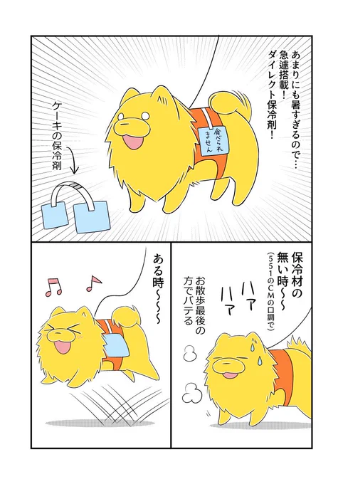 夜でも30℃超える暑さなので、イヌチャンに急遽保冷剤を搭載しました。ネッククーラーなる物も買ったんですがイマイチで…。
かなりウキウキ歩いてたので効果あったみたいです。(*うちは毛がモサモサ&amp;ハーネスもゴツいのでこれで大丈夫ですが、他の子は冷やし過ぎないようにね🐶)
#宗次郎Jr 