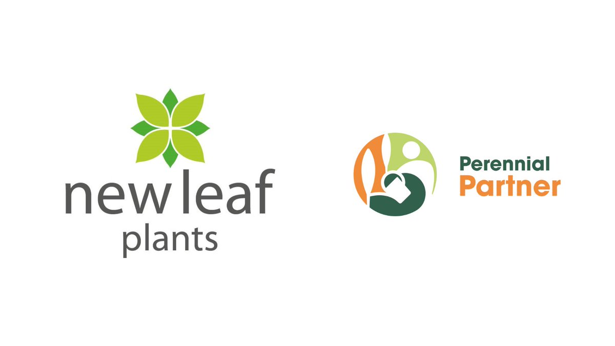 A huge thank you and welcome to <a href="/Newleafplants/">New Leaf Plants</a>, our newest Platinum #PerennialPartner 💚

Their generous support could help a client fleeing domestic violence move into a new home, or help an injured horticulturist retrain for a new career.
perennial.org.uk/home/getinvolv…
#CharityTuesday