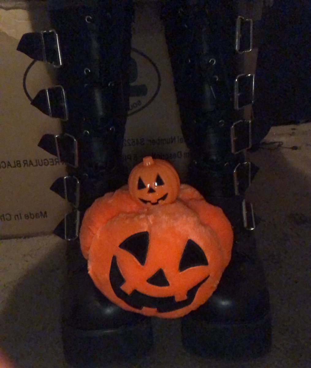 lleeasphodel96's tweet photo. ππππππππ πππ ππππππππ πππππ
Demonia by @pleaser_shoes Trashville-518
#demonia #Trashville518 #demoniashoes #pleasershoes #gothboots #platformboots #gothicplatforms #megaplatforms #goth #DemoniaCult #retro2000s #retro2010s https://t.co/qzX04mNC2F