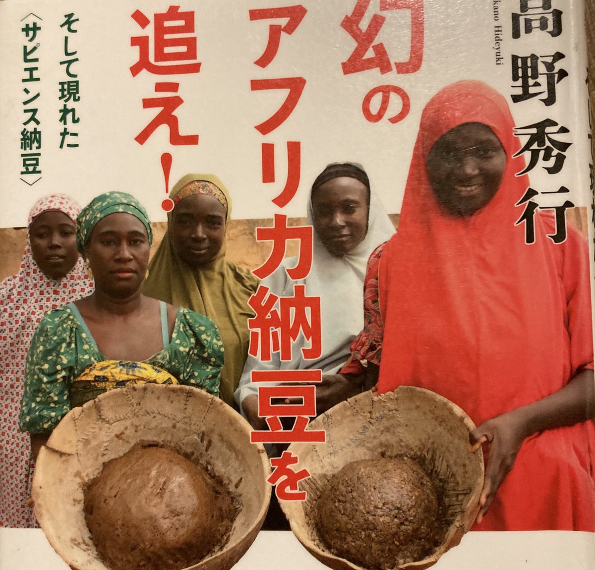 本当に一冊でわかるのだろうかそしてアフリカ納豆 