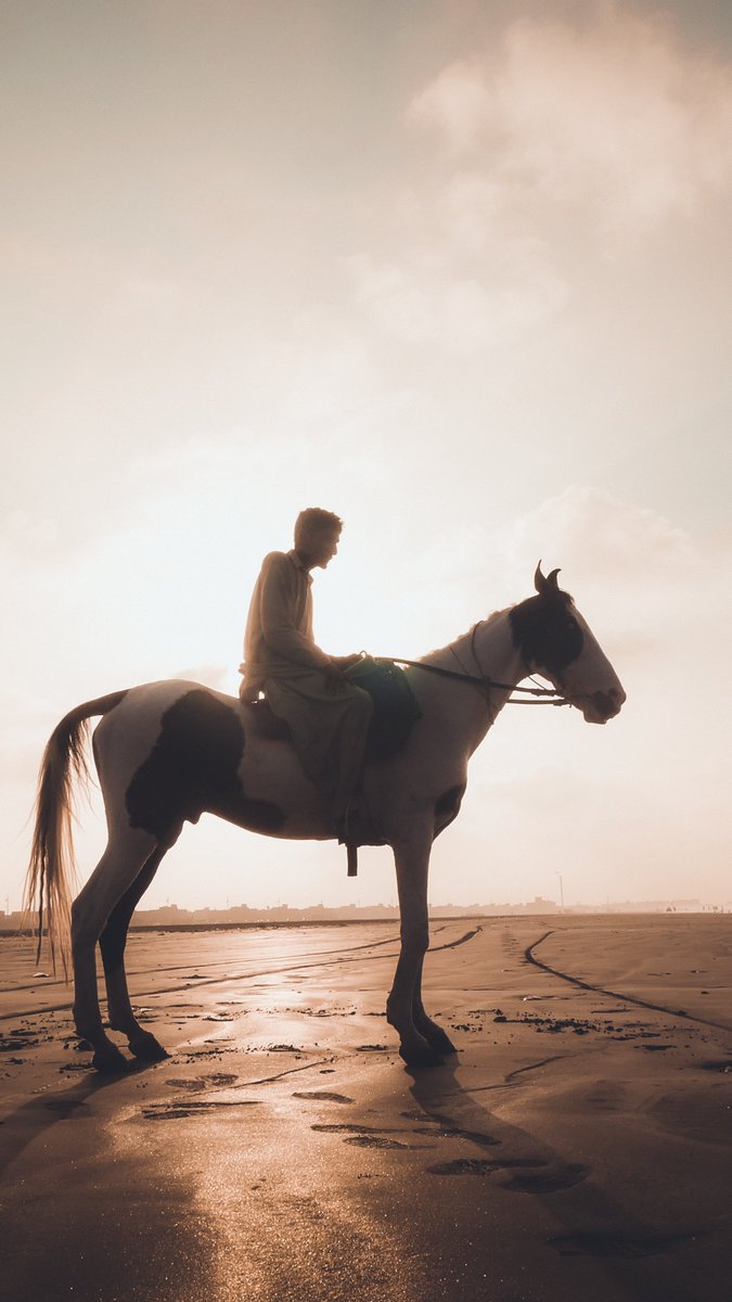 RubFayyaz's tweet photo. A beautiful horse silhouette! 

#photography #photographylovers #karachi #pakistan #landscape #sunset #horserider #photooftheday #photographicart #NFTartist #Beautiful #Horse #Silhouette #NFTProject #NFTs #NFTGiveaways #NFTcollection #digitalart #dodarya #sunsetphotography https://t.co/EUTxDcVNry