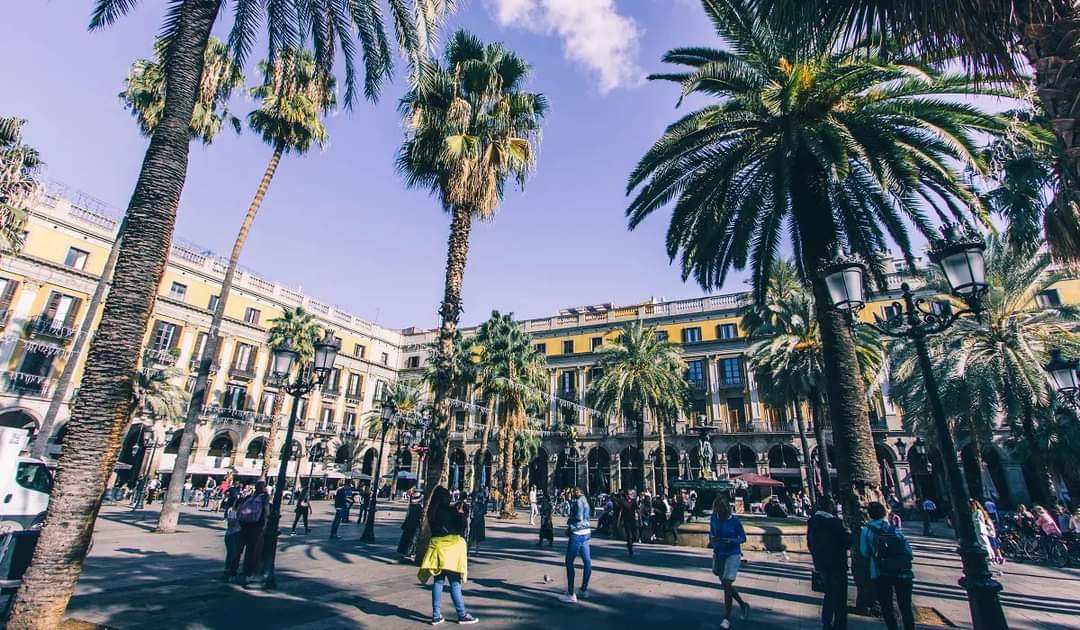 Biotops Biz tweet media