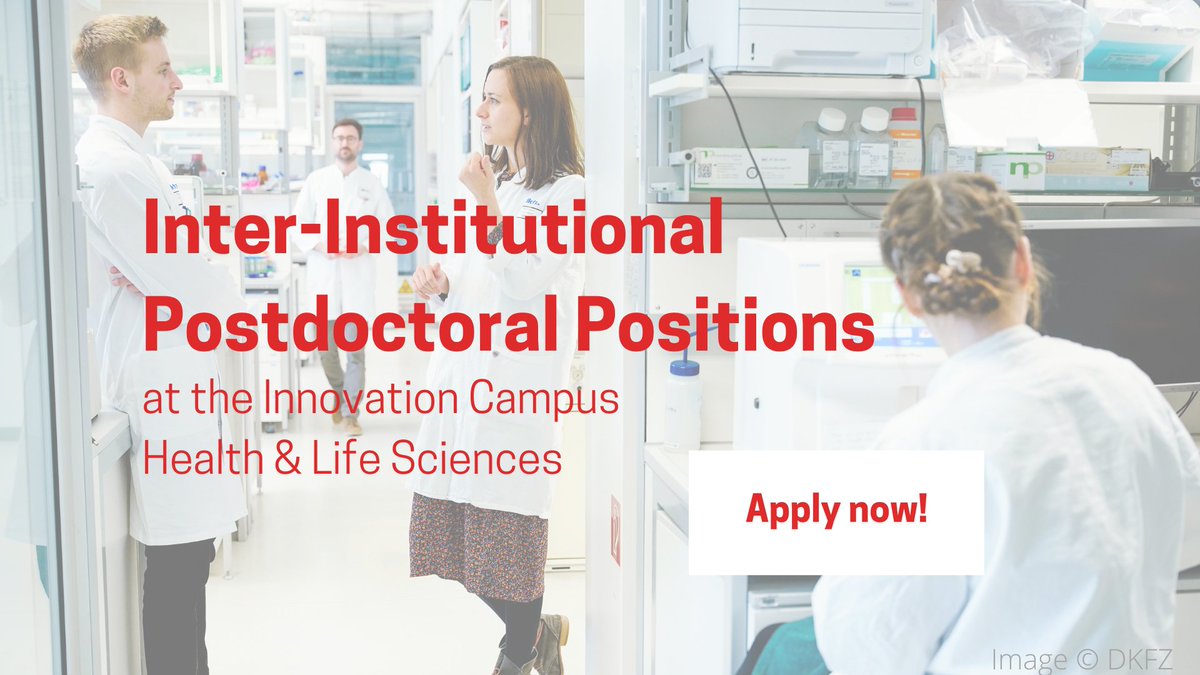 Health + Life Science Alliance Heidelberg Mannheim (@researchlifesci) on Twitter photo Our second Call for #postdoc positions at the Innovation Campus Health & Life Sciences is open! Join our unique #researchalliance of renowned research institutions in the #lifesciences 
Read more: bit.ly/3ORXYyk
#Germany #rheinneckarregion #Heidelberg #Mannheim Our second Call for #postdoc positions at the Innovation Campus Health & Life Sciences is open! Join our unique #researchalliance of renowned research institutions in the #lifesciences 
Read more: bit.ly/3ORXYyk
#Germany #rheinneckarregion #Heidelberg #Mannheim