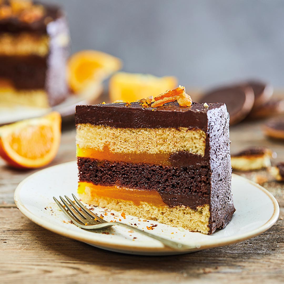 Caterforce tweet media