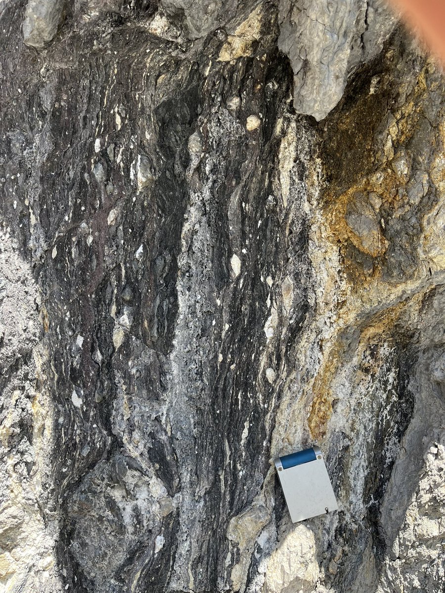 Exciting field work along the Carboneras Fault in Spain. Spectacular structures associated with strike-slip tectonics. #structuralgeology #tectonics #prin #strikeslipfault #geology