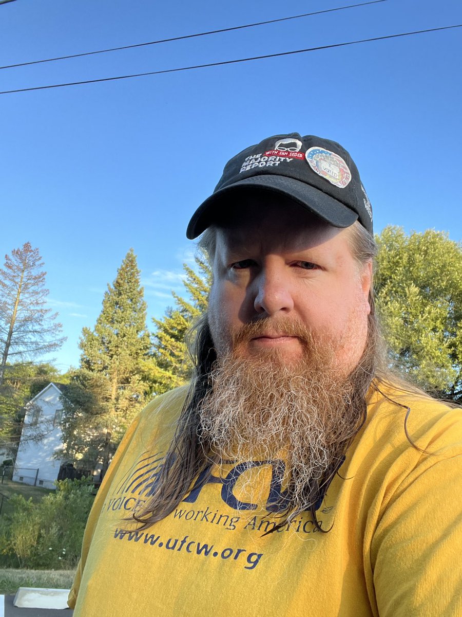 strahd9's tweet image. Get out and boo, I mean vote!  #AndyLevin #LeftIsBest #MajorityReport