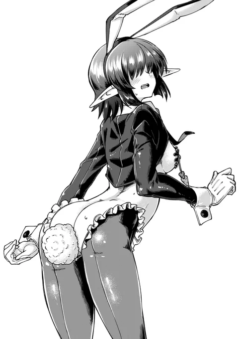 逆バニー再掲 