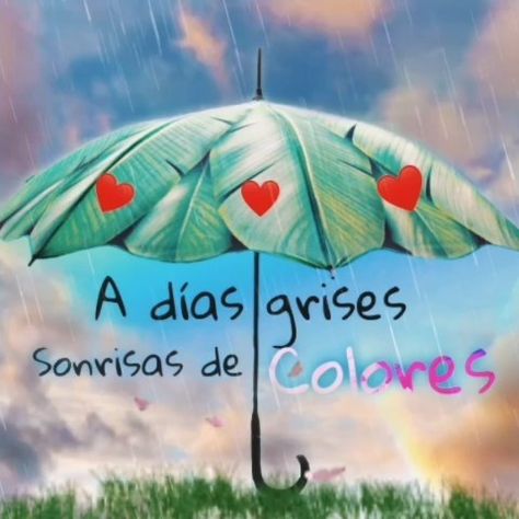 Patricia on Twitter: "@Roberto36274454 @LuzRODR88753893 @LeytonLujan @mnica36410342 @Beagmontejo @AngelCamarano @colo2376 @Jcalvarietti @Yudith33276177 @brm59 @Ana @SerranoIsmael Excelente / Twitter