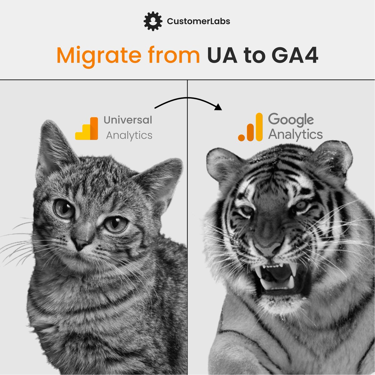 If you have not switched to GA4 yet - please check out on what you will missing out. 

Read now --> customerlabs.com/blog/how-to-mi…

#GA4 #googleanalytics4 #UA #thirdpartycookies #firstpartydata #cdp #ecommerce #bfcm #sales