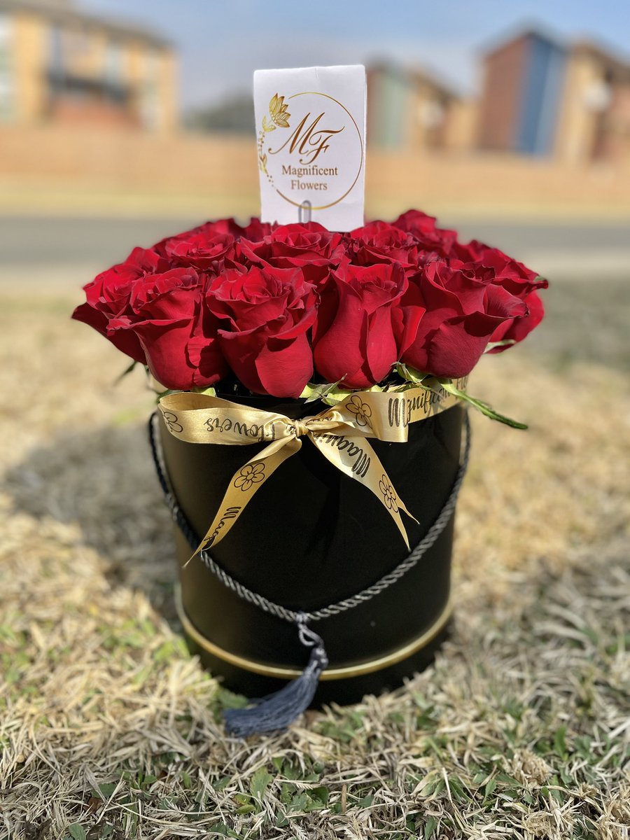M_flowersza's tweet image. Large red roses box 😍😍😍

#flowers #roses #boxedroses #jhbflorist #luxurygifting #girltalkza #tuesday #chooseday