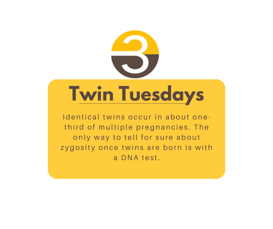 Today's Twin Tueasday fact...we are still actively looking for sites to join us for STOPPIT-3; a new clinical trial looking at the use of antenatal corticosteroids in twin pregnancies. Interested in signing up? Contact us: STOPPIT3.Trial@ed.ac.uk #CTIMP #twins