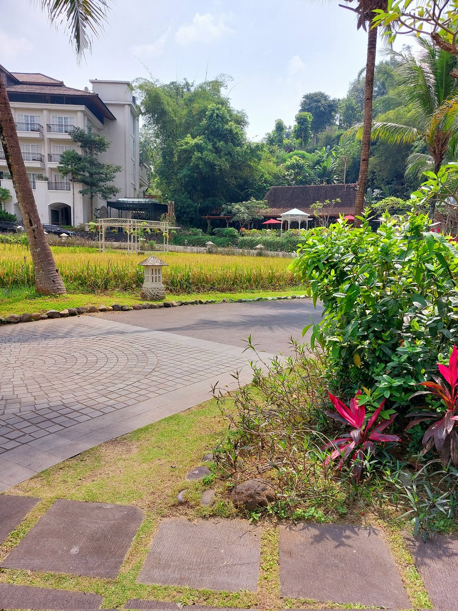 everyshineever's tweet image. #samsunga52s