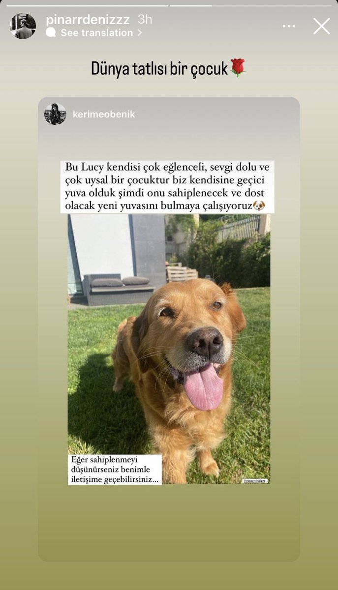 pinararchive's tweet photo. Story 30.07.2022 https://t.co/QbYMDhNHUW