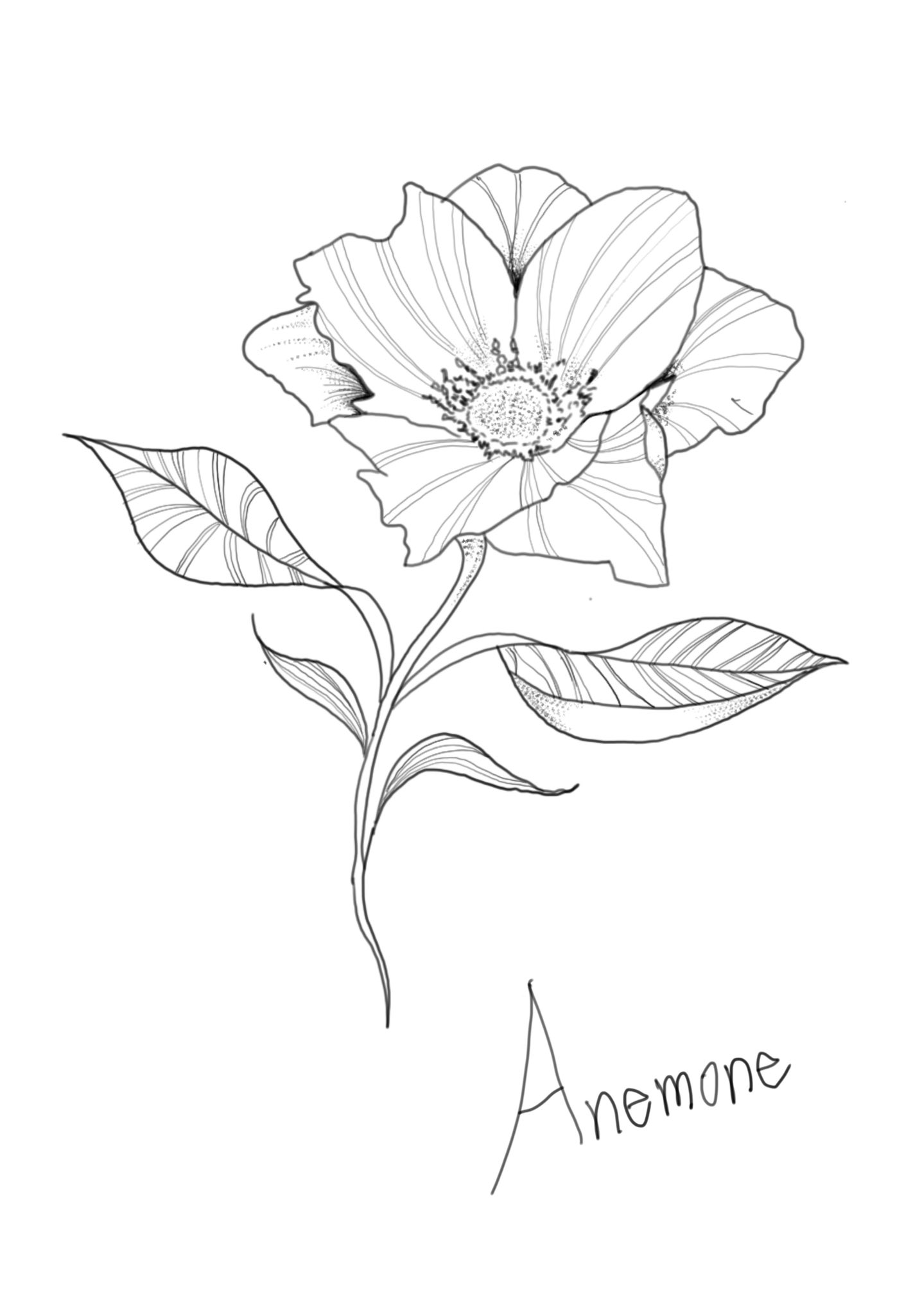 Fun Time アネモネっていう花でタトゥーフラッシュ描いて見ました タトゥー 花タトゥー タトゥー名古屋 出張タトゥー T Co H7ecxbw4nf Twitter