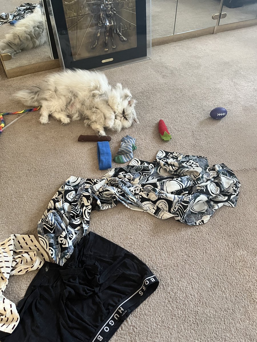 celebspkrs4u's tweet photo. :
For my Cat Fans in the TwitterVerse SnowMan my Pedigree Persian. Born in Switzerland. #cats #catscratch #catnip #catsofinstagram #CatsOfTwitter #CatsLover #catstagram #catsonfacebook #catsonlinkedin #catsinvegas #persiancats #meow #kittens #kitties #purrfect #catskiss #catshug https://t.co/hUeLkUelDg