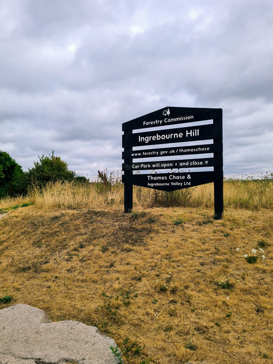 artkidtroy's tweet photo. London Loop | Section 23
#LondonLoop #Section23 #hiking #exploringlondon #dayhike #london #upminster #ingrebournehill #ingrebournemarshes
@IngrebourneEWT https://t.co/dg2p3b0Bxw