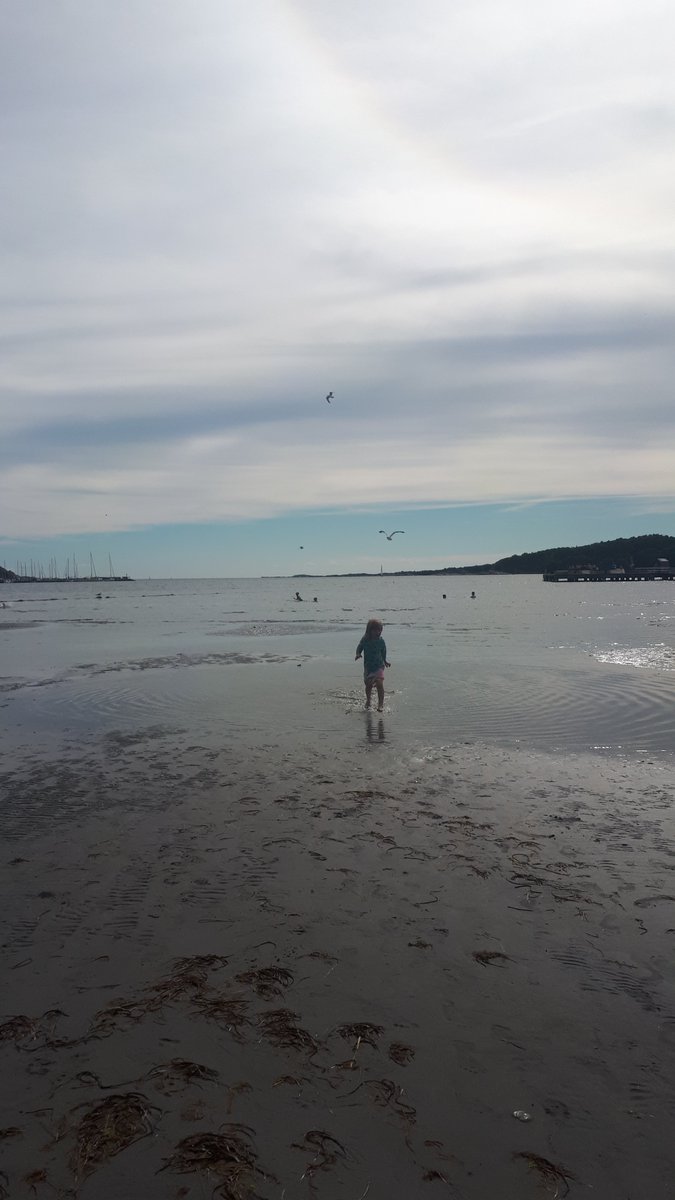 Going live in about 1h, starting with The Witcher 2 today!! 🥰

A bit tired after a long day at work that ended with a dog search in the woods 🧐
But now im finally home and preparing for streaaam!