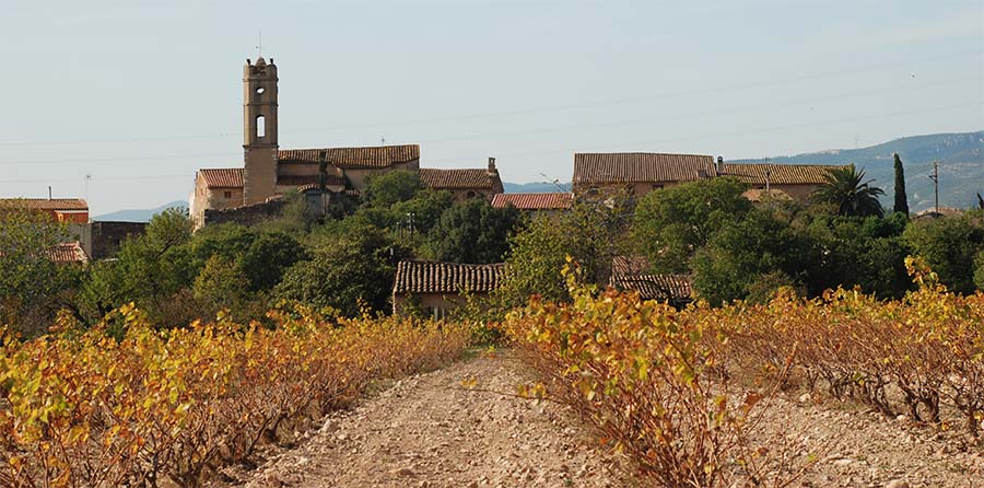 avvstjosepobrer's tweet image. 🎊FESTA MAJOR'22

✅DIJOUS 4

🚶🏻‍♀️🚶🏻Per dijous hem preparat una caminada fins a #Masmolets i tornar (ritme apte per a tothom)

ℹ️Sortida: 19h - Plaça de la Sardana

‼️Porteu bon calçat, aigua i alguna cosa per menjar

🎁Regal per a tothom

Us hi esperem!

📸 Celler Mas Bella
#Valls
