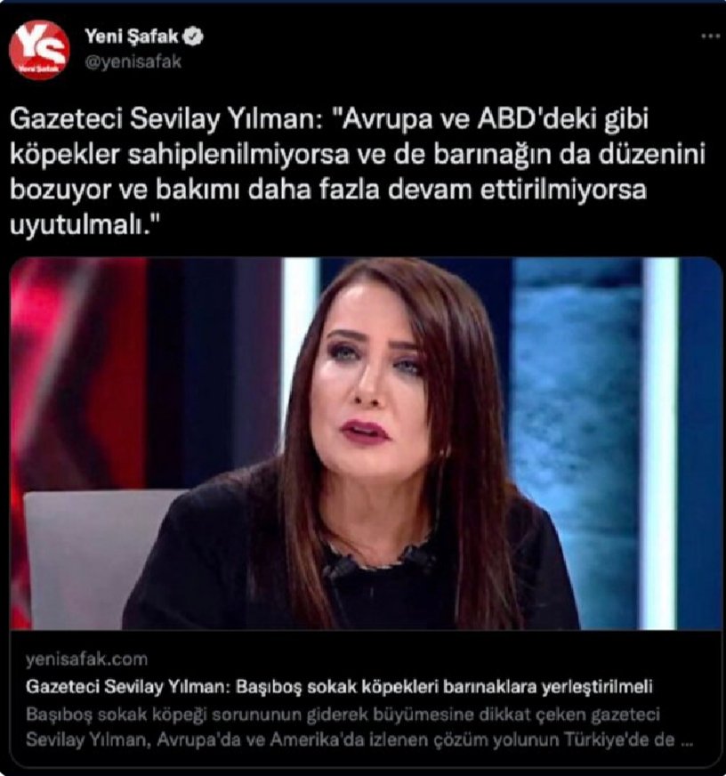 Biz hayvan severler tek bir hayvana zarar gelmemesi için çabalarken şu yaptığınız yoruma nasıl vicdanınız el verdi yazık Rabbim ıslah etsin #SevilayYılman