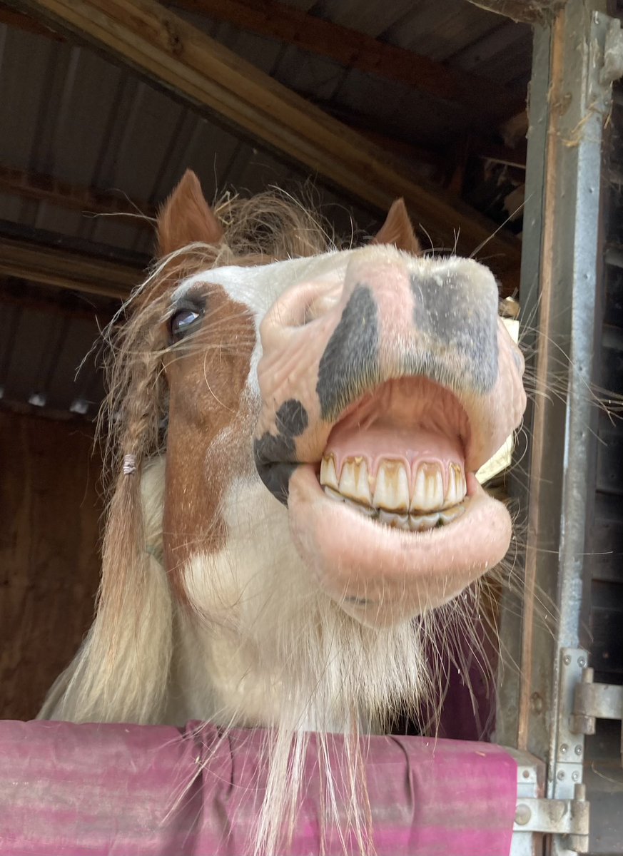 PressFresh's tweet image. By far the best face on the internet today