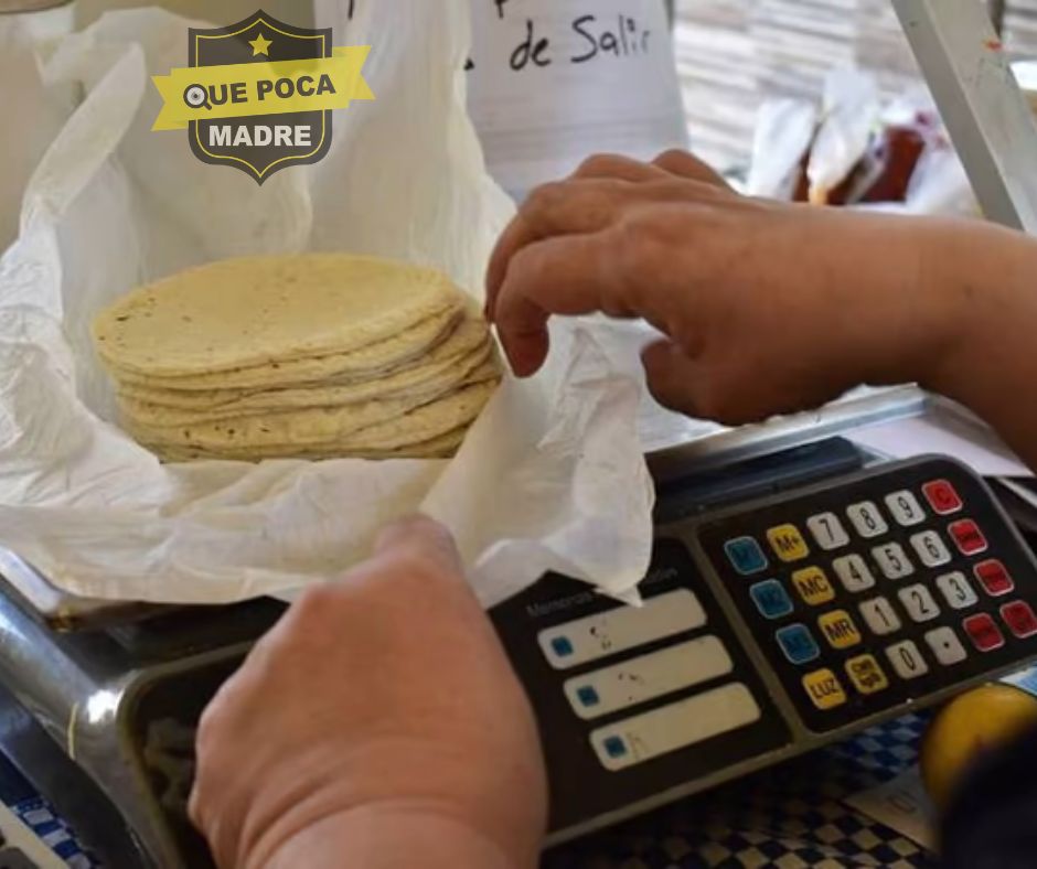 QuePocaMadreMex's tweet photo. DETECTAN TORTILLAS 'PIRATA'🚨
La #sequía #severa que azota a #Durango, ha provocado que el #maíz #aumente su #precio, y por ende, también las #tortillas, pero además, se han detectado #tortillas '#piratas', ya que están compuestas más por #olotes que de #maíz. https://t.co/WcqbeLEFAP