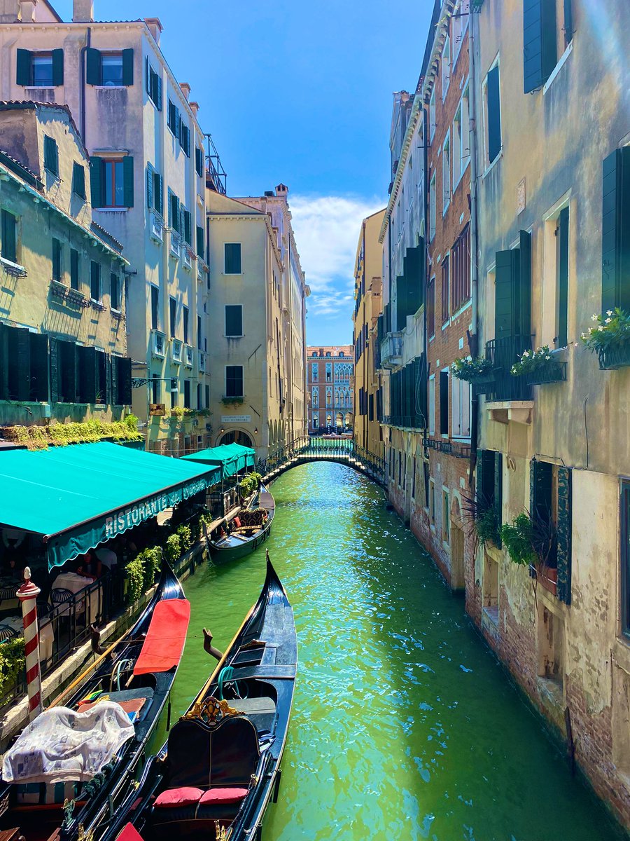 Mr_Noyes_'s tweet image. A lovely day exploring Venice a beautiful city with lots to see, but wow I’m not impressed with @TUIUK. Late to pick us up and an hour and a half late to leave the bus station 🤷🏼‍♂️ no traffic just poor organisation skills. @visititalytoday @VisitItalyOffi1 @visititalytoday #HotBus