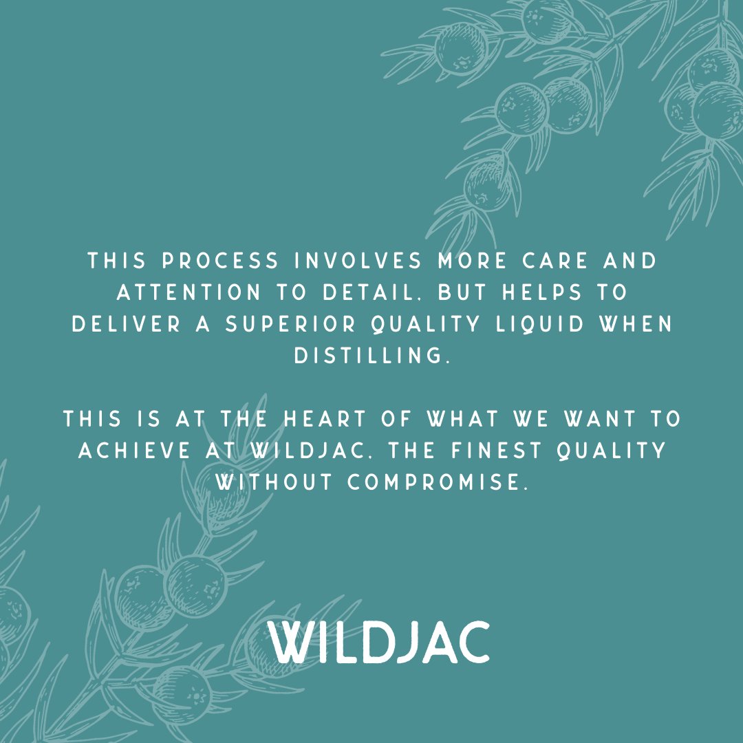 Did you know that we batch distill our spirits? 🌿

This process involves more care and attention to detail, but helps to deliver a superior quality liquid when distilling.

This is at the heart of what we want to achieve at Wildjac, the finest quality without compromise.
