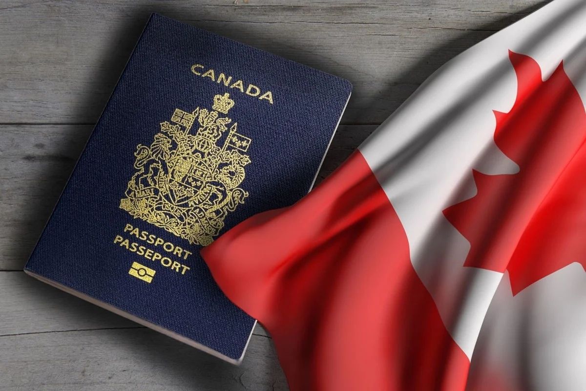 travelobiz's tweet photo. Canada Allows Distance Learning Students to Apply For PR Through Express Entry | Process, Date, Other Details Here
#Canada #CanadaPR #CanadaVisa #CRSPoints #ExpressEntry #students #VisaUpdate
https://t.co/R9ZWwUt6p4 https://t.co/ppDKPmnZzp