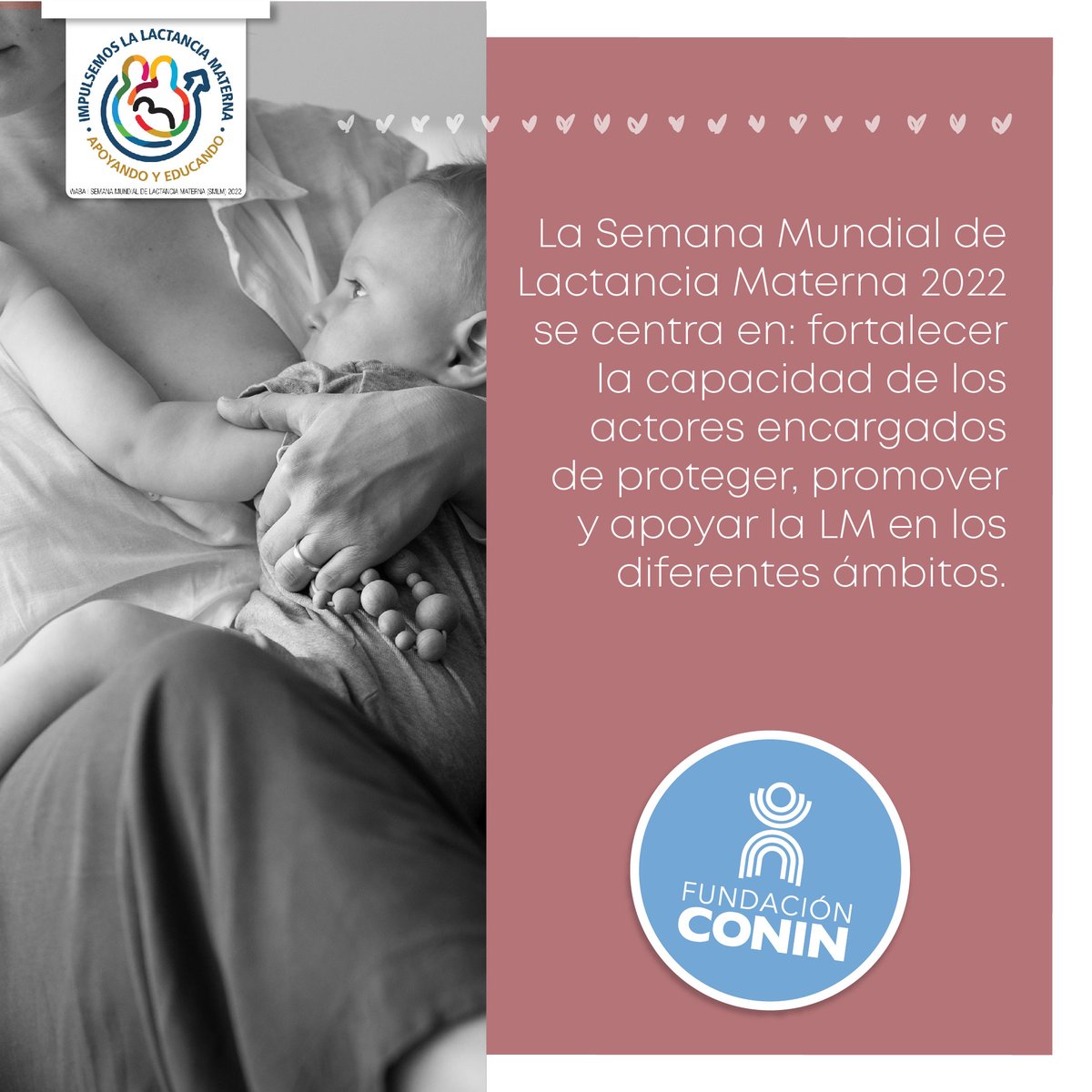 En esta #SemanaMundialdelaLactancia los invitamos a participar de toda la información que vamos a estar compartiendo en nuestras redes sobre el tema!