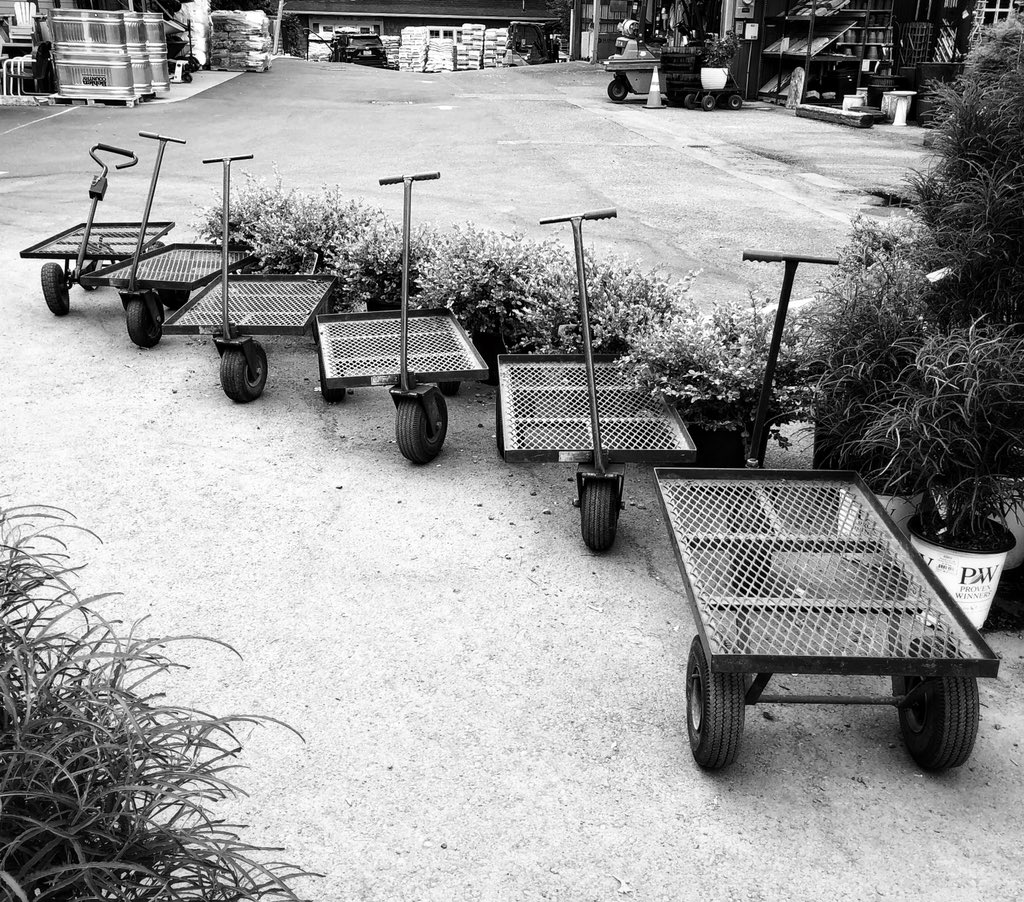 ConsumerDavid's tweet image. #blackandwhitephotography