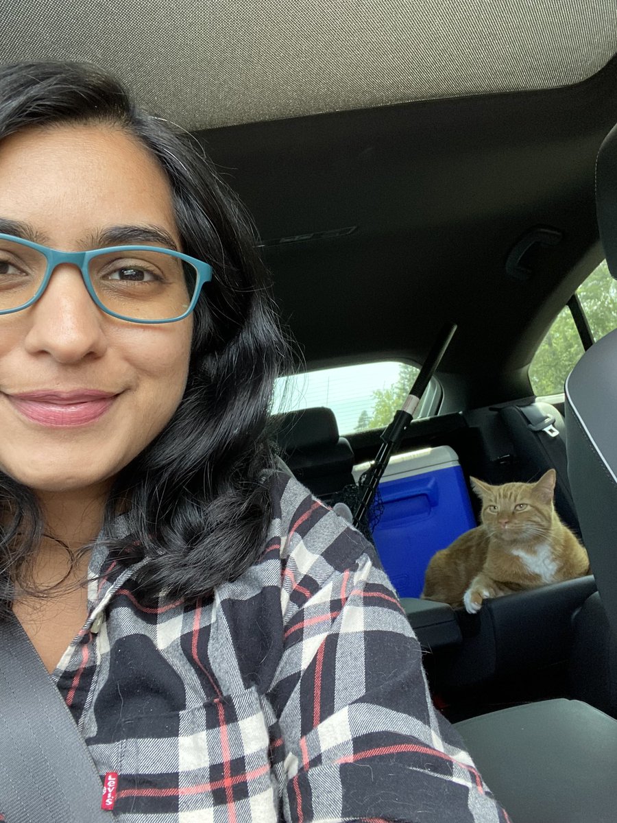 mineebhise's tweet photo. Hey @Airbnb Would be awesome if you can add CAT-FRIENDLY as one of filters for listings. There are people like me who love travelling with their cats and would be great to not be rejected for bringing cool cats to ‘pet friendly’ listings. @AirbnbHelp @Airbnbdesign @AirbnbPolicy https://t.co/1wyhyzPz9I