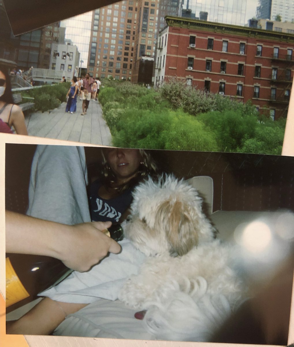 woke up missing NYC for the people, the coconut, the veuve AND <a href="/CoffeeBudzNFT/">CoffeeBudz</a> 🌿☕️ #NFTNYC