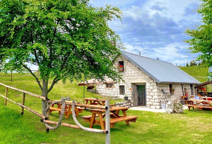Trevisoinfo's tweet photo. dom 7/8 scopri uno degli angoli più belli del Cansiglio con l'escursione sul Col dei S'Cios. Si parte da Crosetta, passando per doline carsiche e mulattiere e si giunge al Col dei S’Cios.
Prenota al tel. 392 773 4387 - https://t.co/23B6joihIU
#treviso #escursioni #mestre #silea https://t.co/YOqYNhb4CL