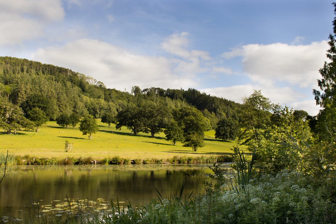Picture perfect views across the lake over to the Parkland.

#bryngwynestate #parkland #lake #summerevenings

<a href="/freya/">freya zhang</a>.llewellyn.photography