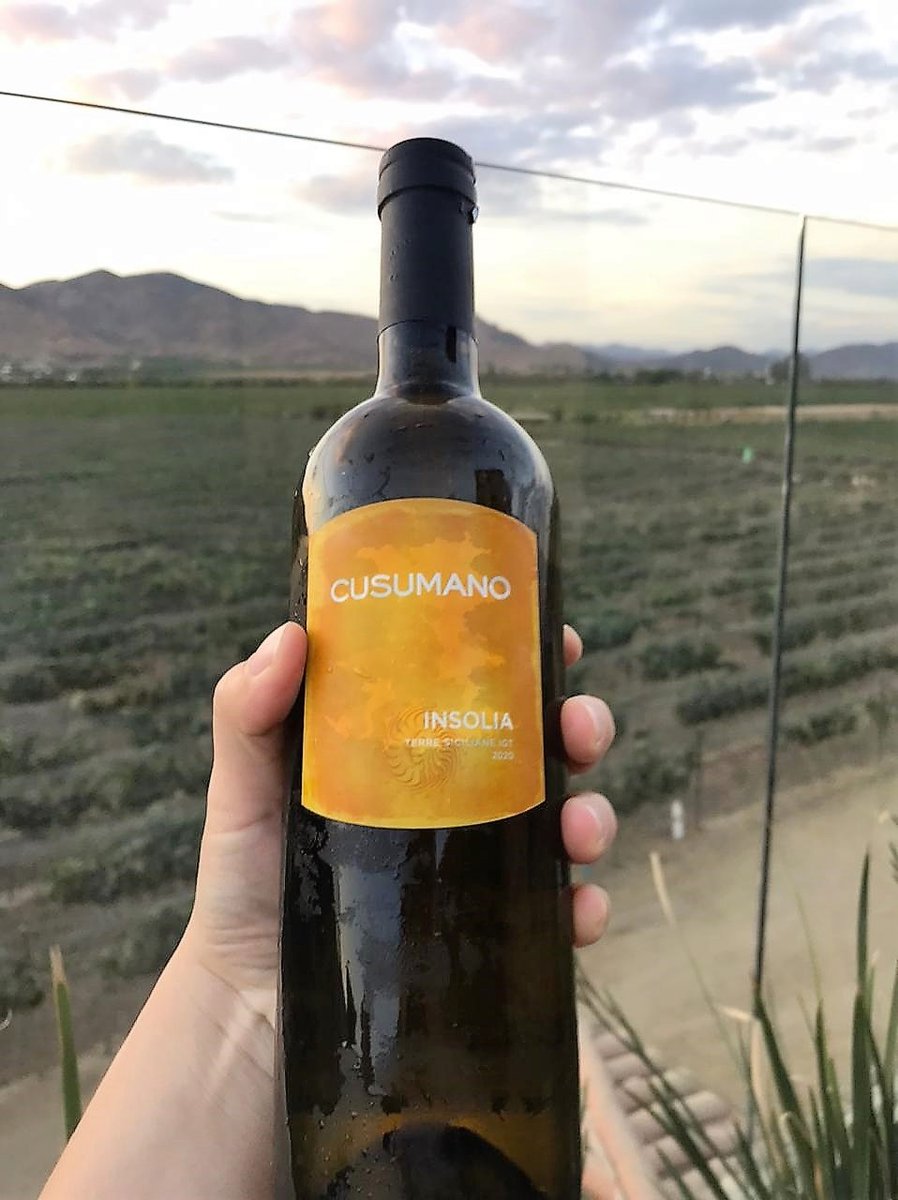 DiplomadoVinos's tweet photo. Iniciamos sesión de los vinos de Italia y que mejor que de la mano del presidente de la Asociación de Sommeliers Mexicanos A.C., el Sommelier @MiguelACooley. Una extensa y muy interesante sesión de  los vinos del sur de Italia. 

#diplomadovinosonline #vinositalianos https://t.co/PVRa3Q9RSS