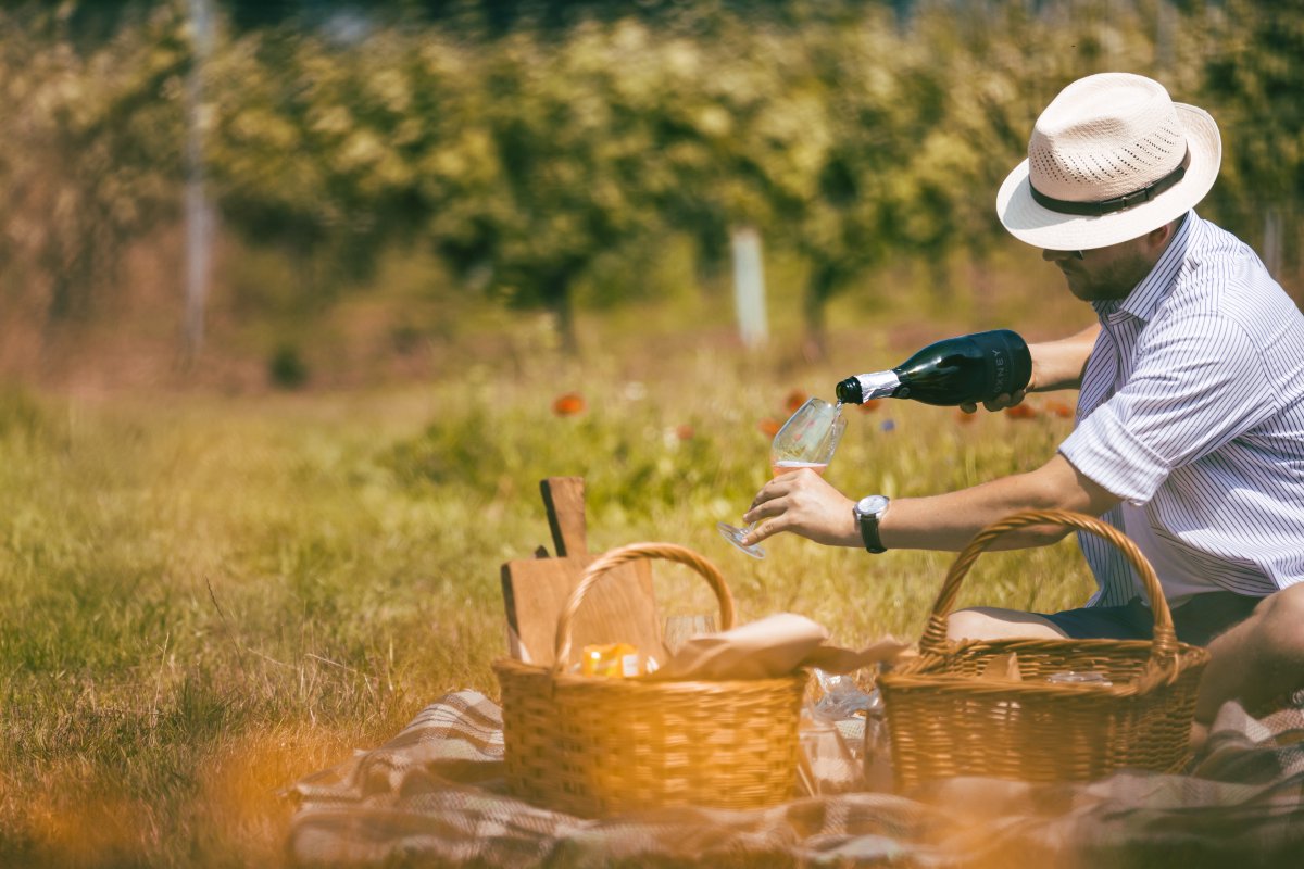 On the hunt for the perfect picnic spot? Your quest is over.

As part of our Saturday tours, you can order a basket stuffed with delicious local treats, grab a rug and tuck in next to our wildflower meadow overlooking the vines. 

Book yours now: ow.ly/R0CR50K5bw0