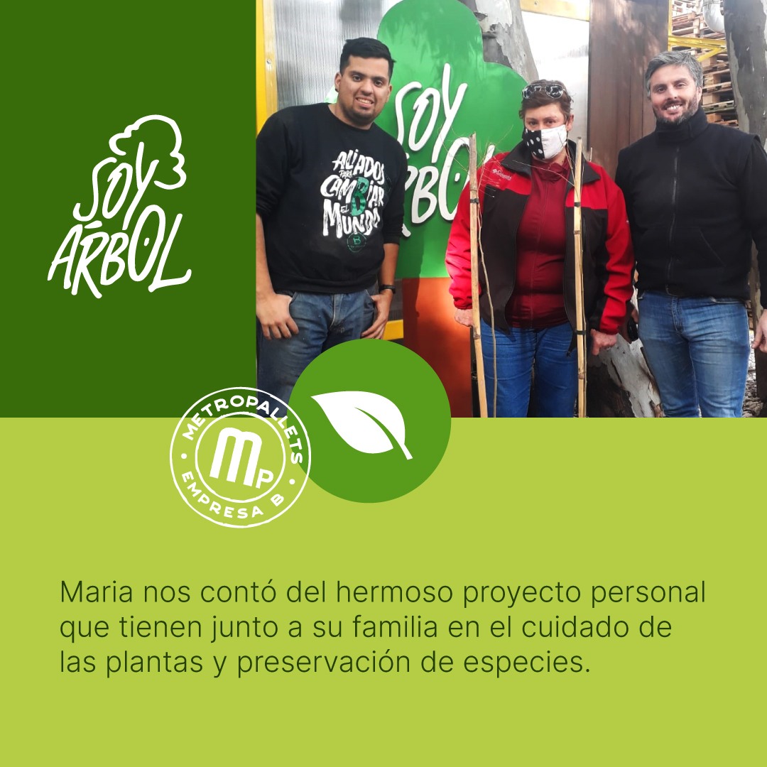METROpallets's tweet photo. ¡Seguimos regalando árboles a nuestra ciudad! 💚

La semana pasada nos visitaron Carla, Rodolfo y María, cada uno con un proyecto único para construir entre tod@s una ciudad más verde. https://t.co/uE4L1lLDlu
