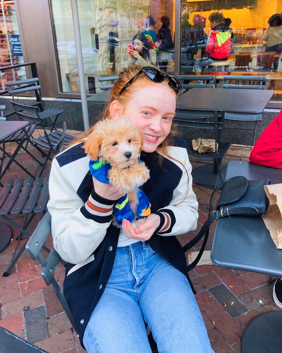 picsofsadie's tweet photo. ⓘ this user miss sadie sink so much https://t.co/cm1lJd3jnc
