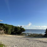 ツイートに含まれる画像