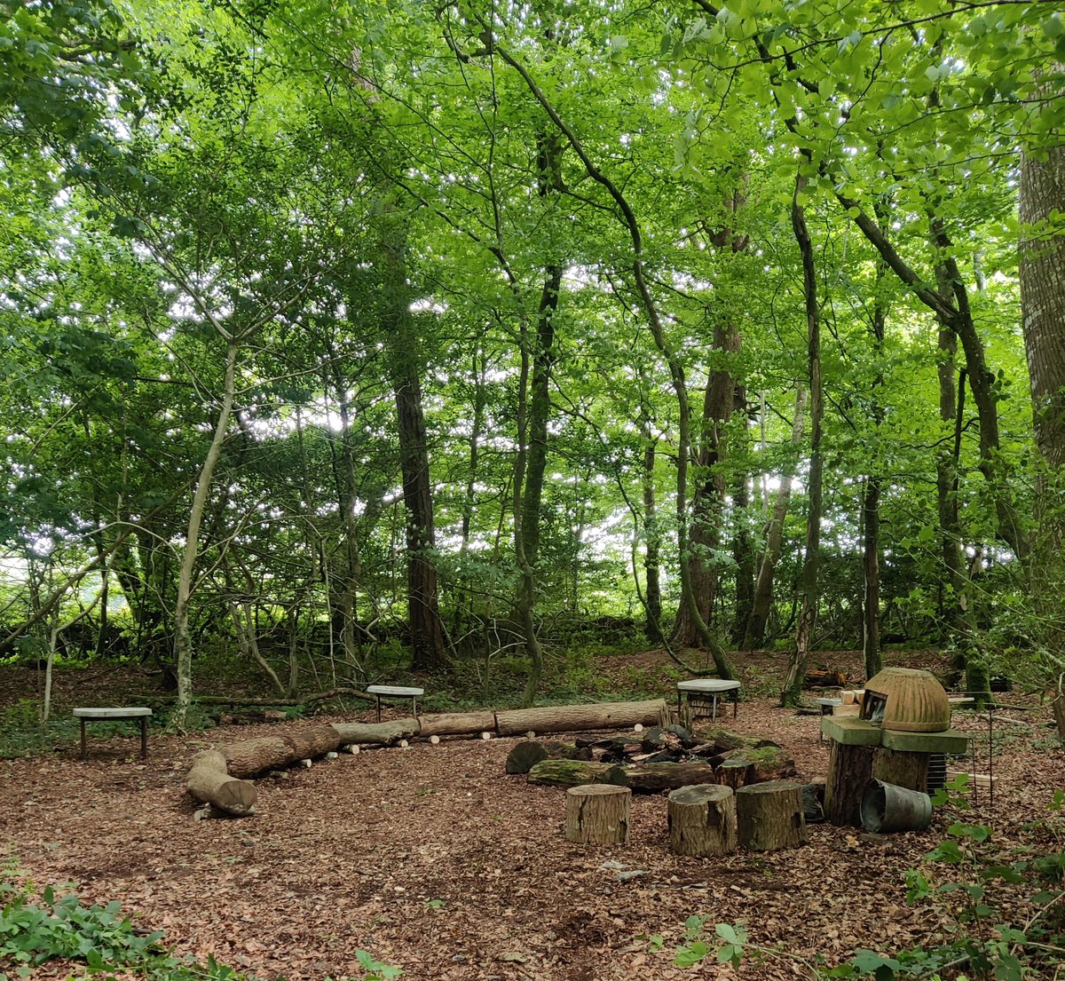 Cornwall Scouts tweet media