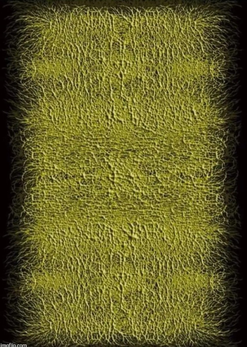 Nobody:
Flyer for upcoming show at The Odditorium: