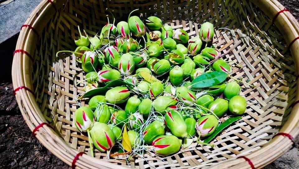 LuanThanhNguye7's tweet photo. Có một loài hoa lặng lẽ nở - nở rực rỡ, cháy hết mình, dâng hiến, rồi sớm ra đi, song hương của nó vẫn còn vương vấn mãi.
Bông bần! -TS Tạ Duy Linh #nambo #taynambo #vietnam #vanhoa #HOA https://t.co/mesRUjiBuH