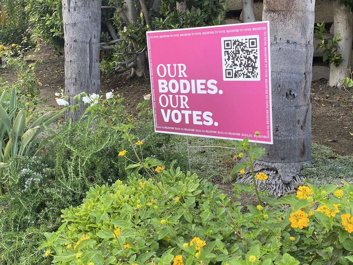 TheCivicsCenter's tweet photo. Our signs are out! You can download your own today on our website! https://t.co/Th1yES0pAT 🪧 https://t.co/0TeGBuKqxy